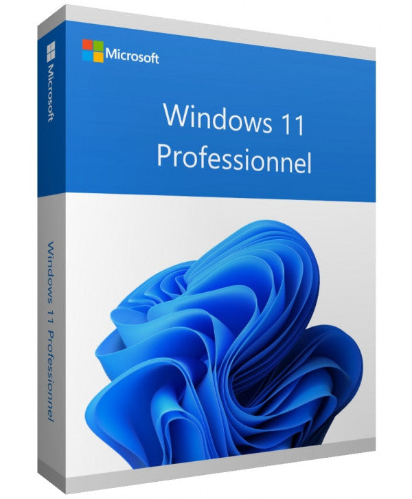Licence Windows 11 Professionnel