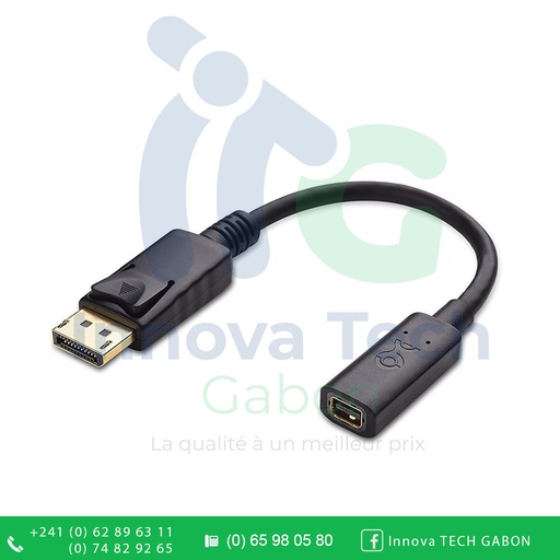 CABLE MATTERS Adaptateur DisplayPort - Mini DisplayPort