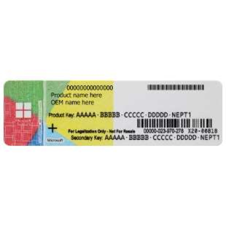 [A0237] Licence Windows 10 Professionnel