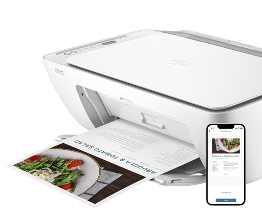 [A0229]  Imprimante HP Multi fonction Couleur Deskjet 2875-WIFI